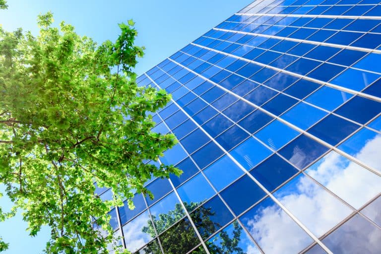 Environmental, Social, and Governance Principles (ESG)