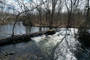 Cedar Grove Dam